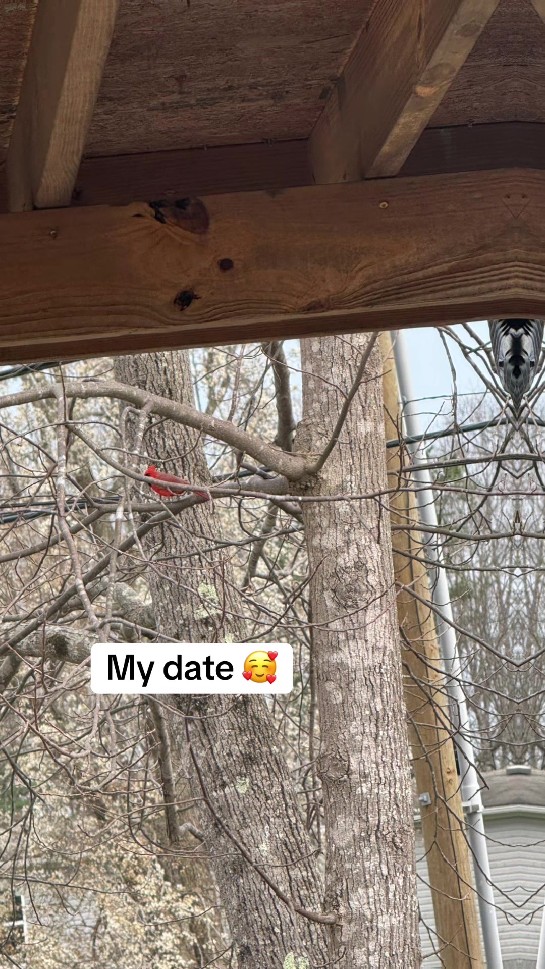 @missmaythelunchlady