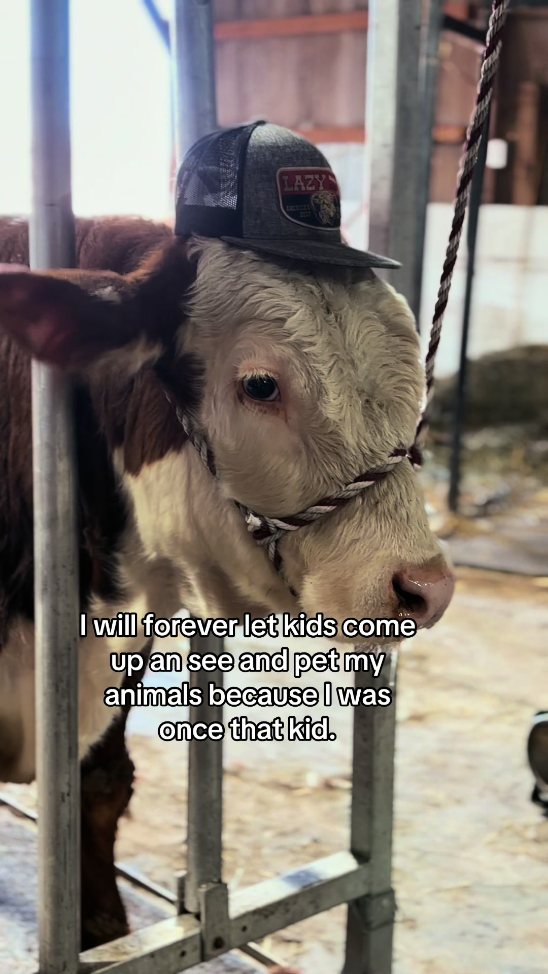 @Sylvia🐄