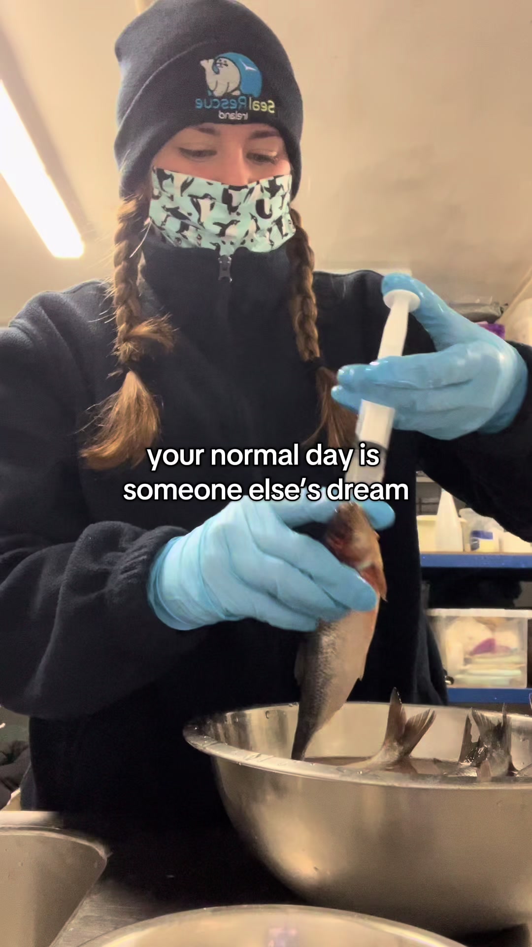 @Brogan 𓆝𓆟𓆞