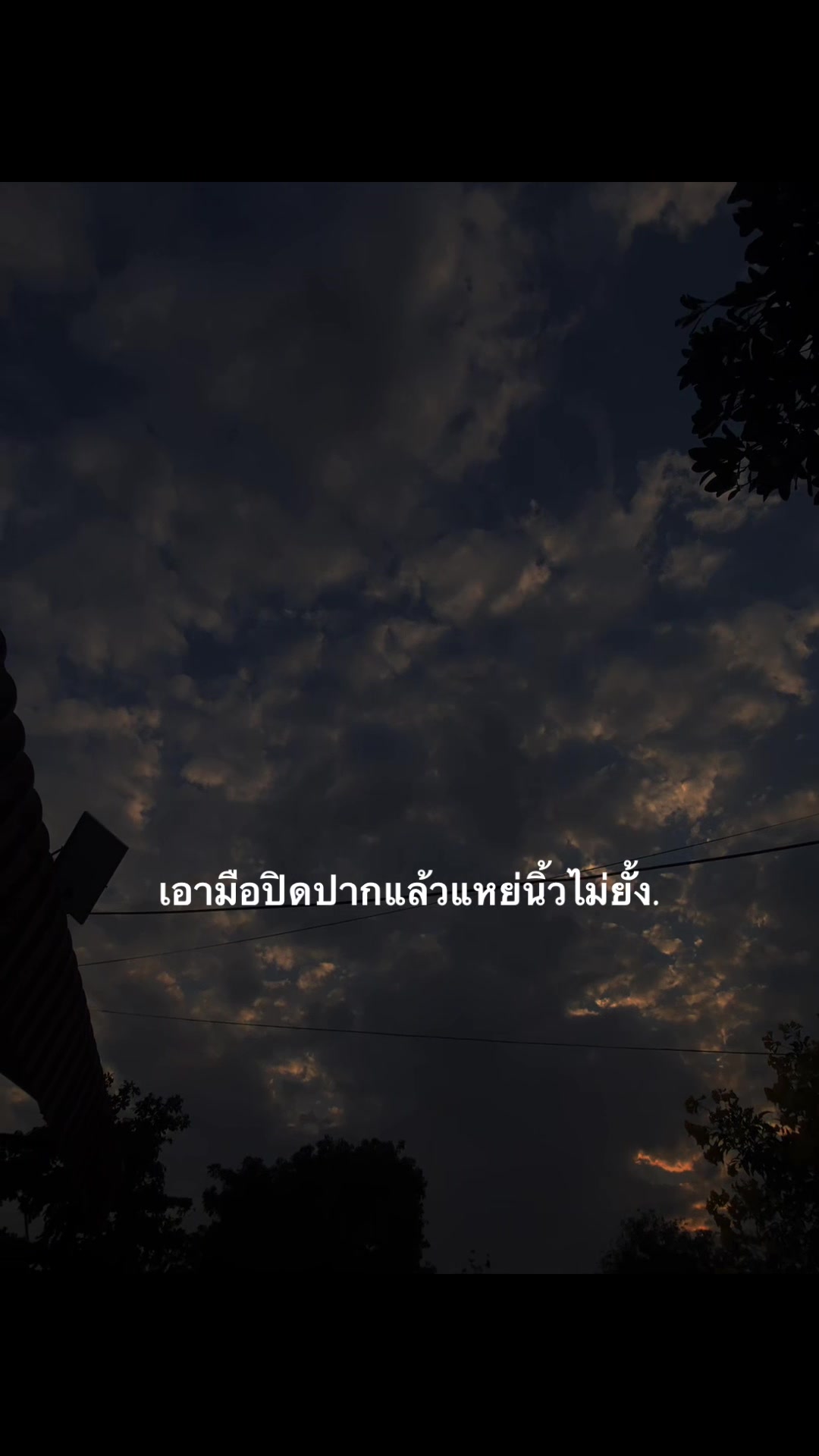 @หมาล่า  (121.9K)