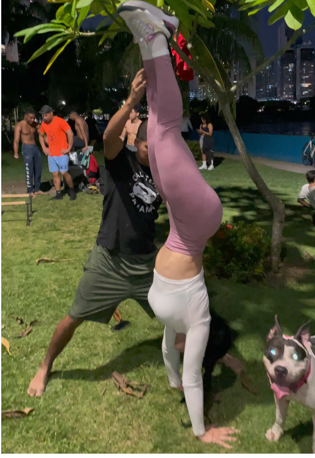 @CARNALWORKOUT