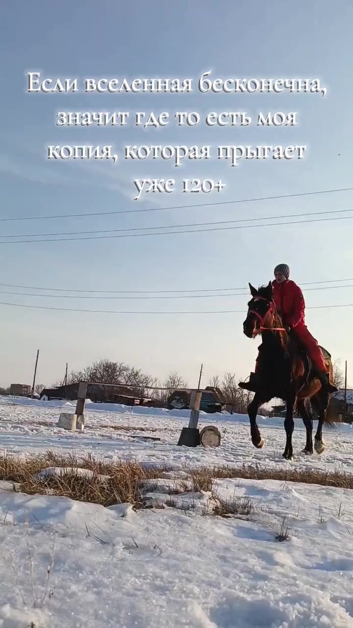 @꧁𓃗КОННИЦА𓃗꧂