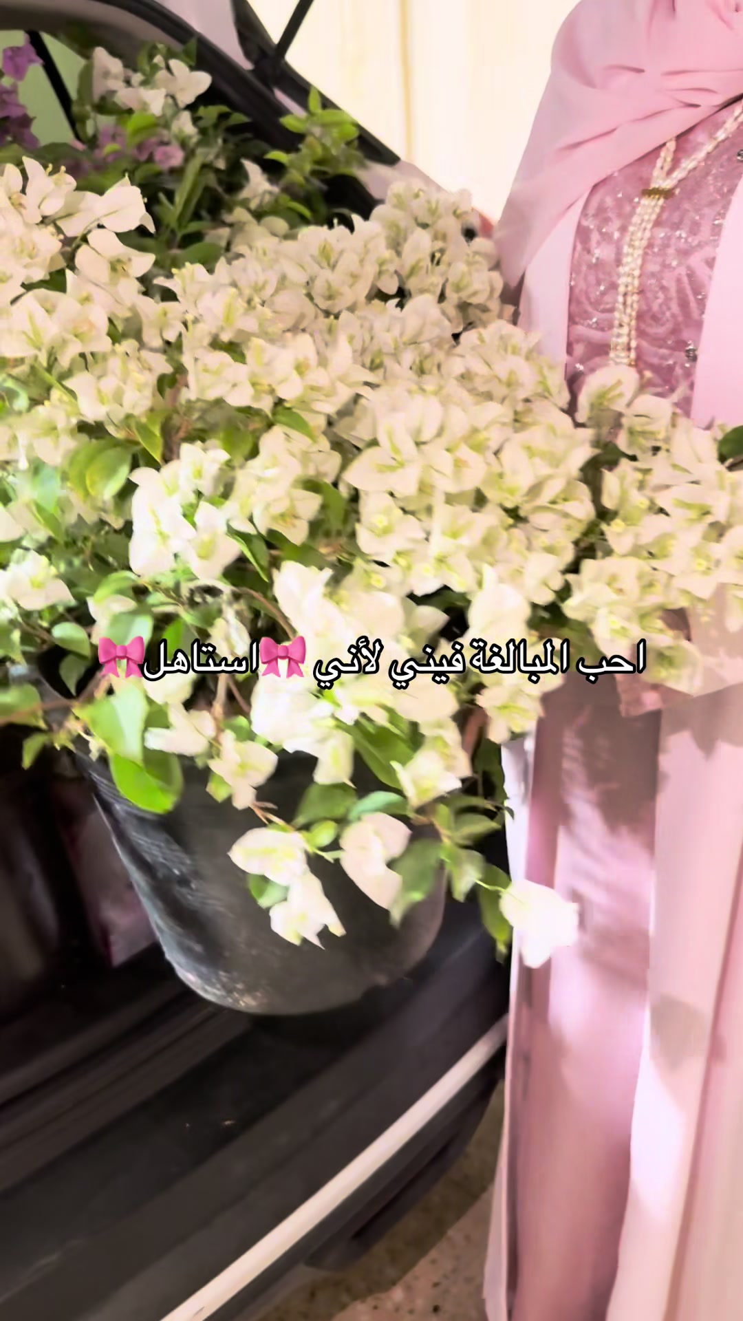 @عالم&ensp;سرور🌿