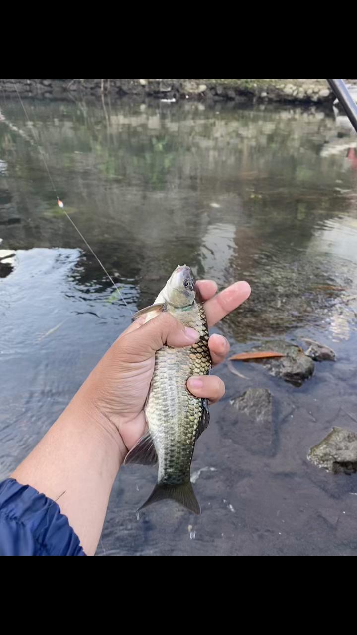 @BINZZFISHING