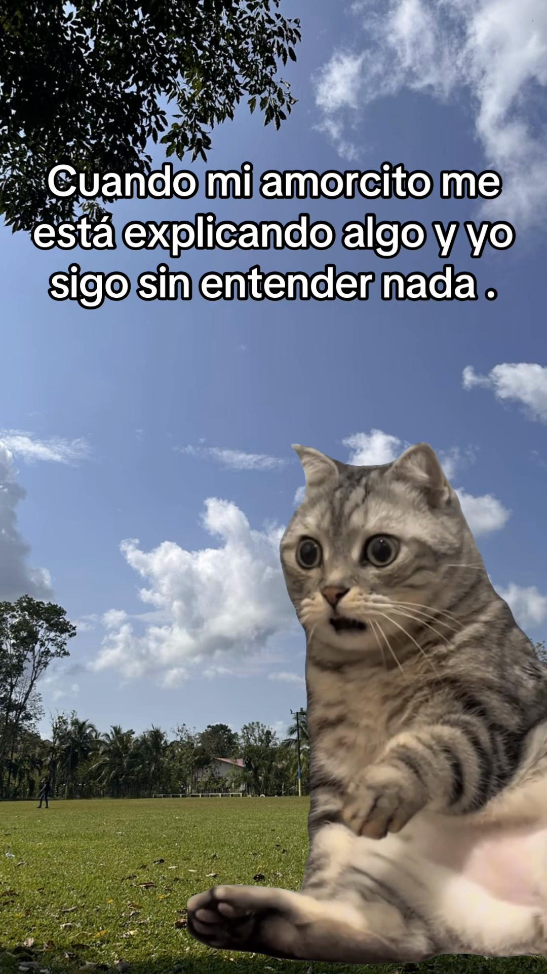 @Doriis🫦