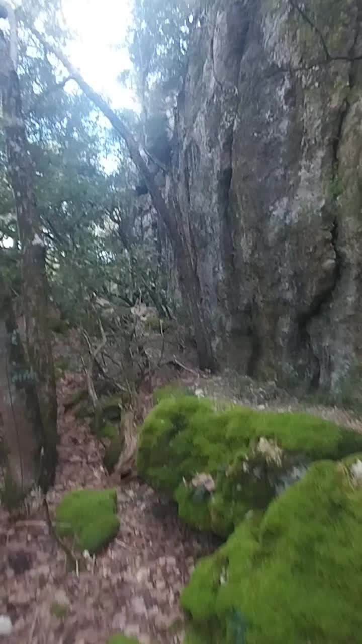 @wolfthebest