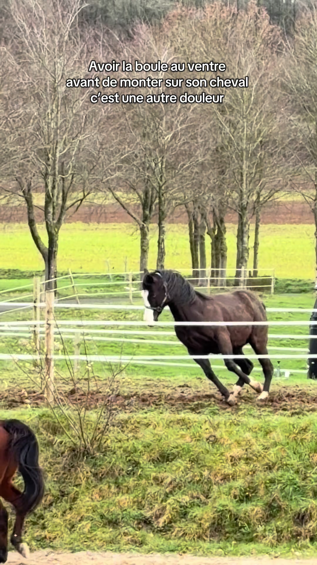 @ℳ𝒶𝓇𝑔𝒶𝓊𝓍🇧🇪