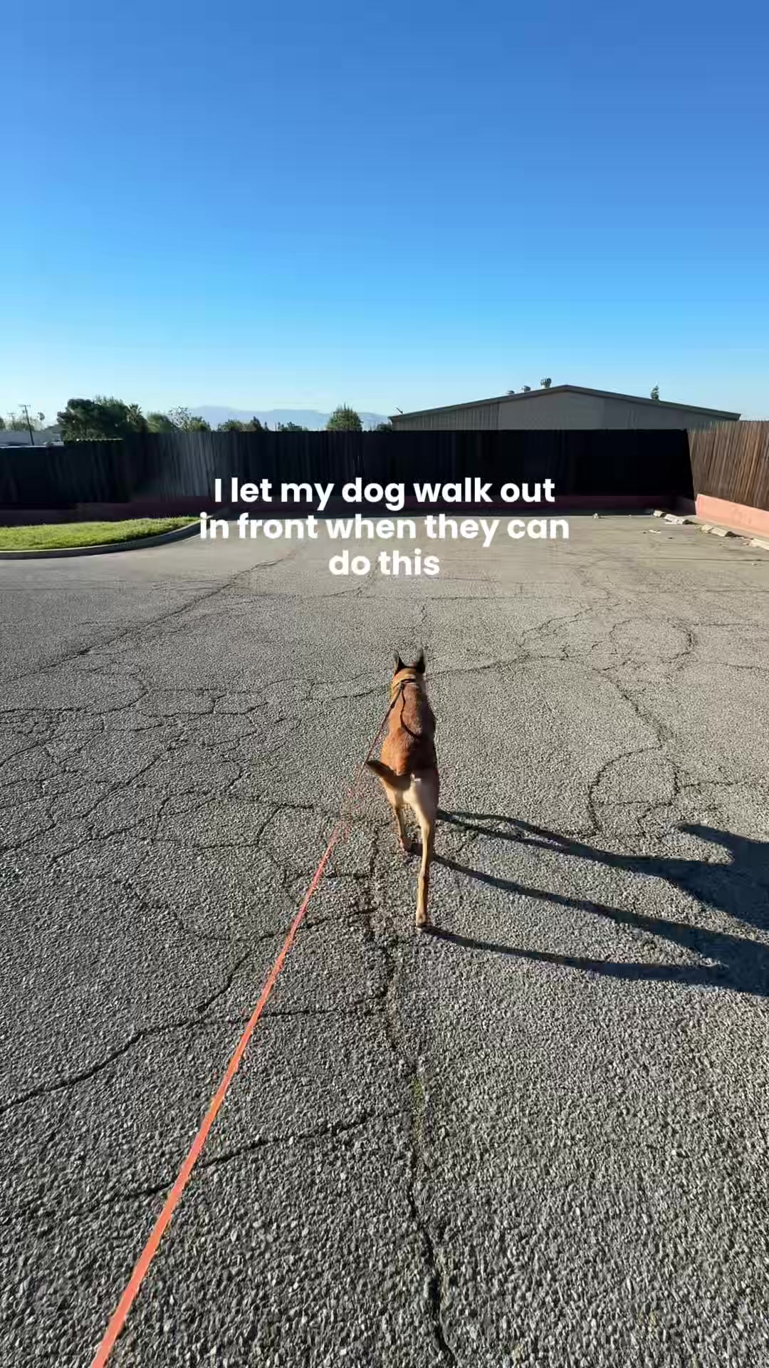 @The Everyday Trainer
