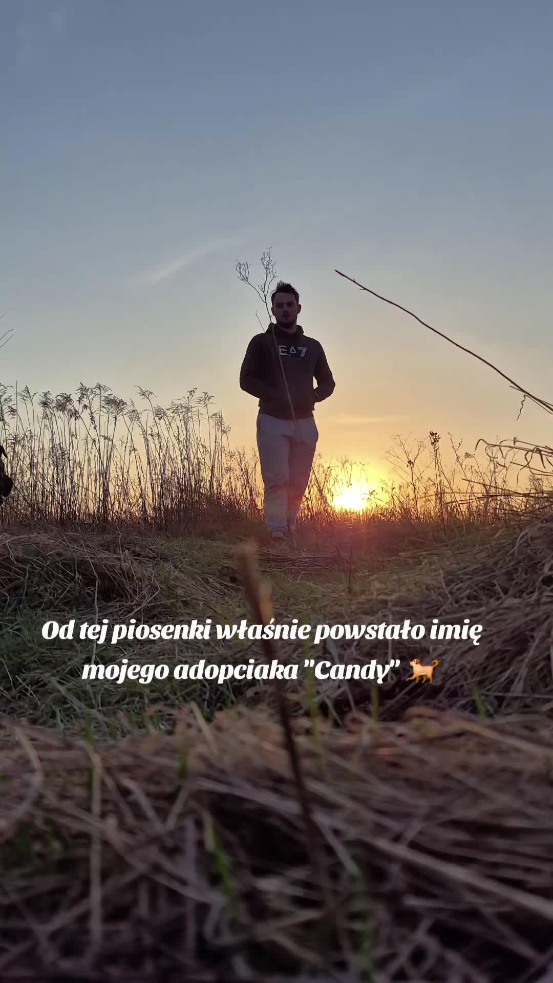 @przyBULLski