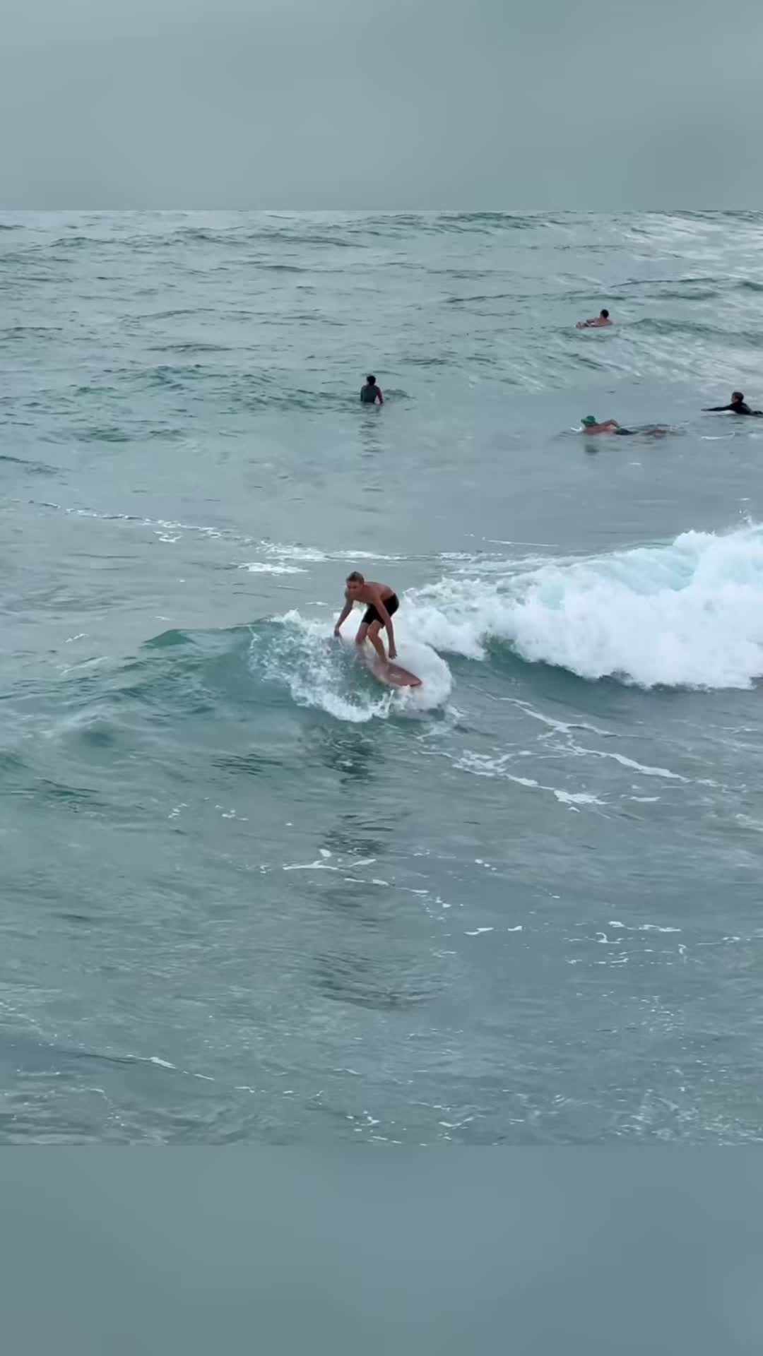 @kailer.peterson