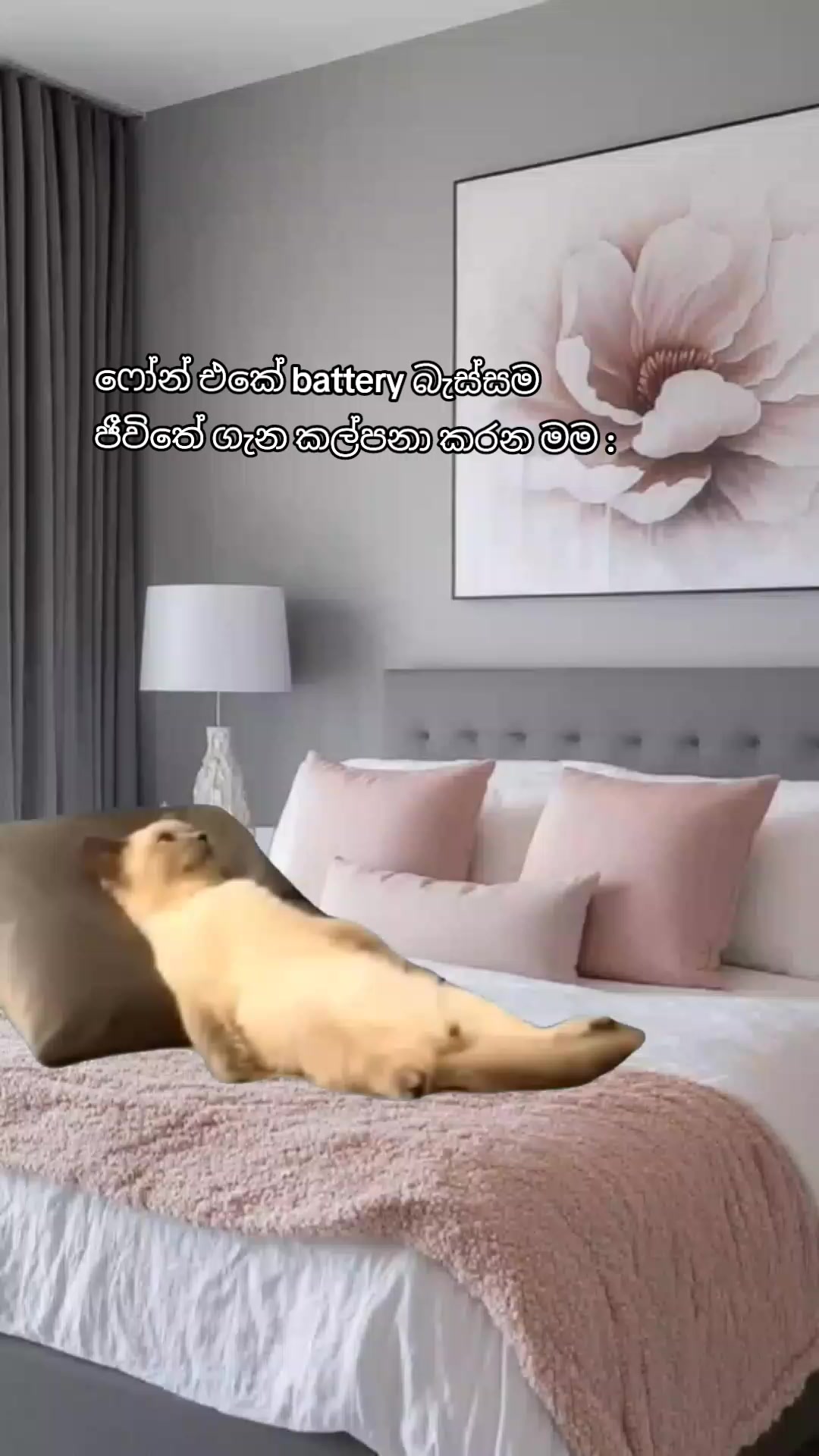 @𝑂𝑝𝑧𝑧𝑧