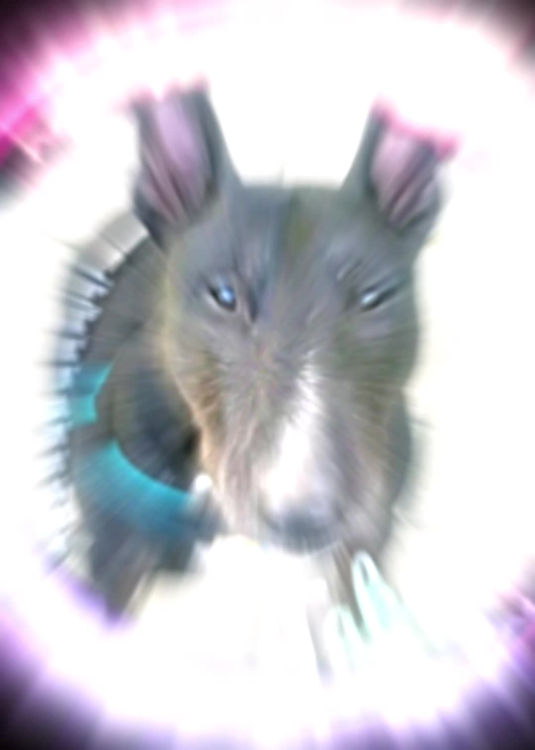 @takumi