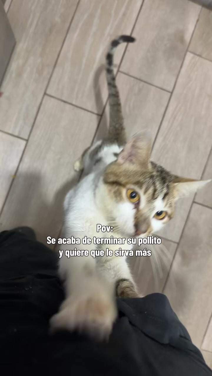 @Evy Pineda