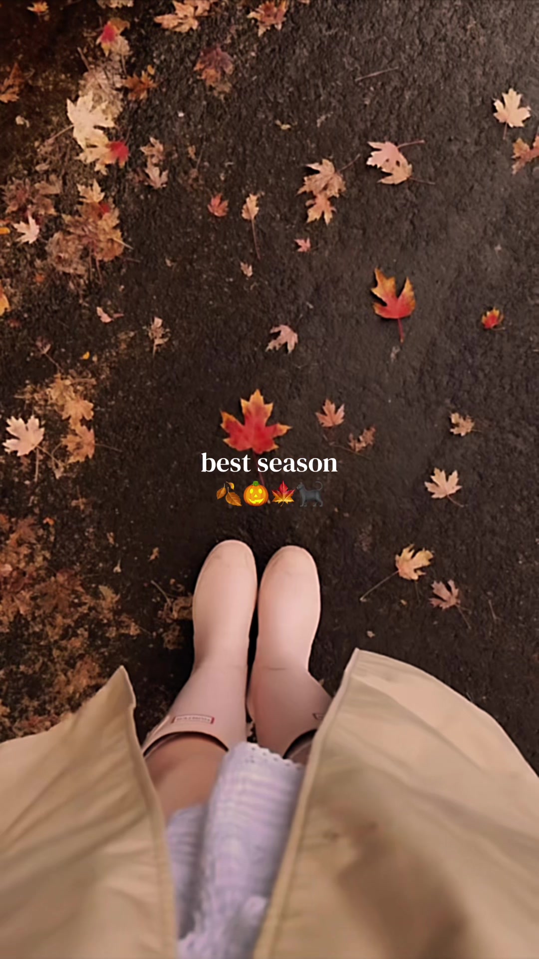 @fall.cozy_vibes