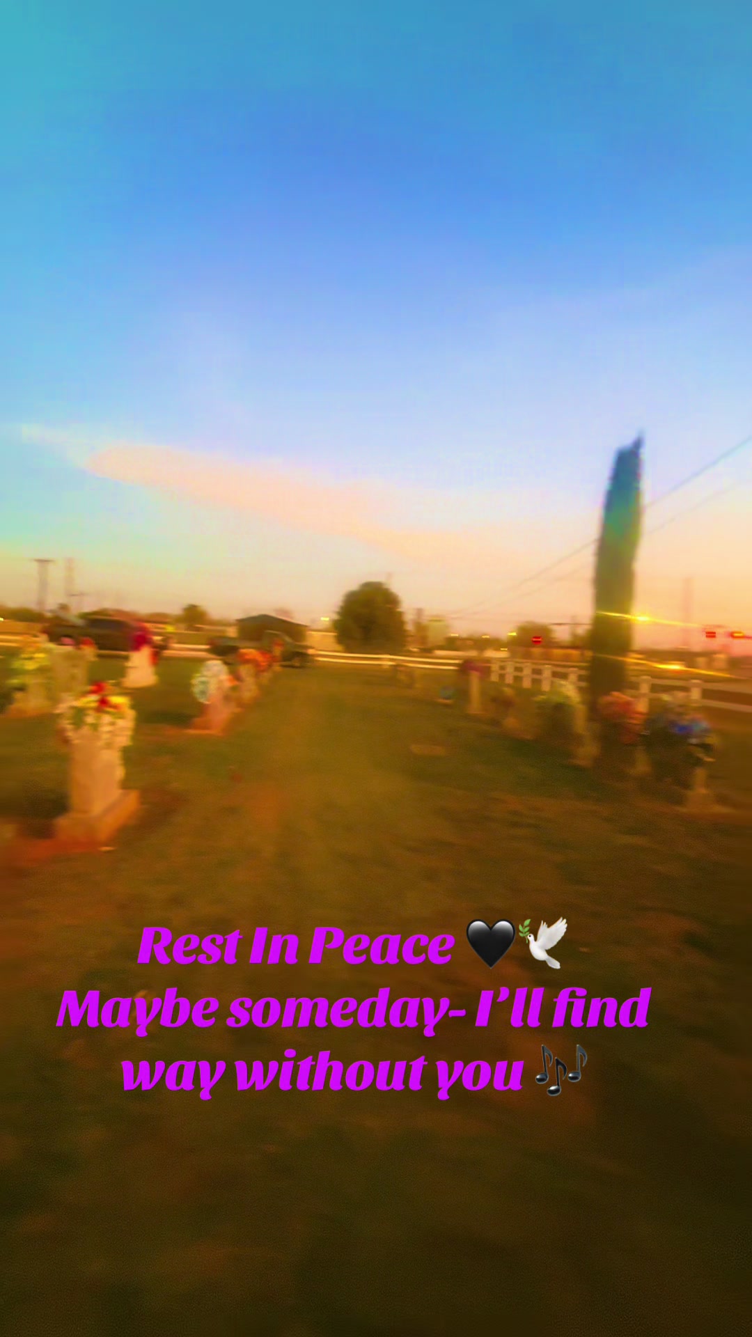 @💝sandyIvon