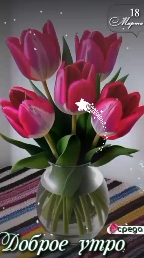 @user25256083356