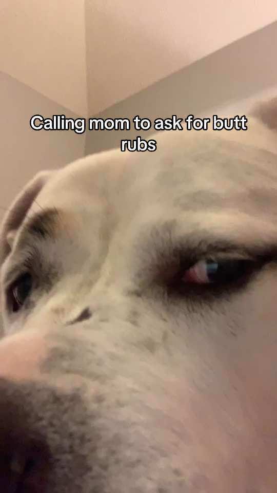 @Msher