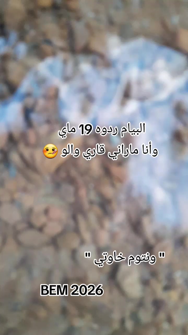 @basset dz