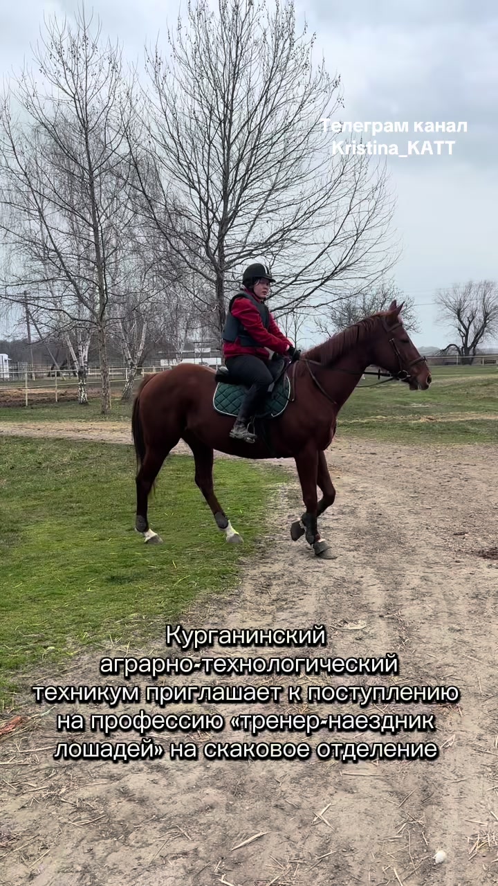@Кристина Тренер КАТТ🐴