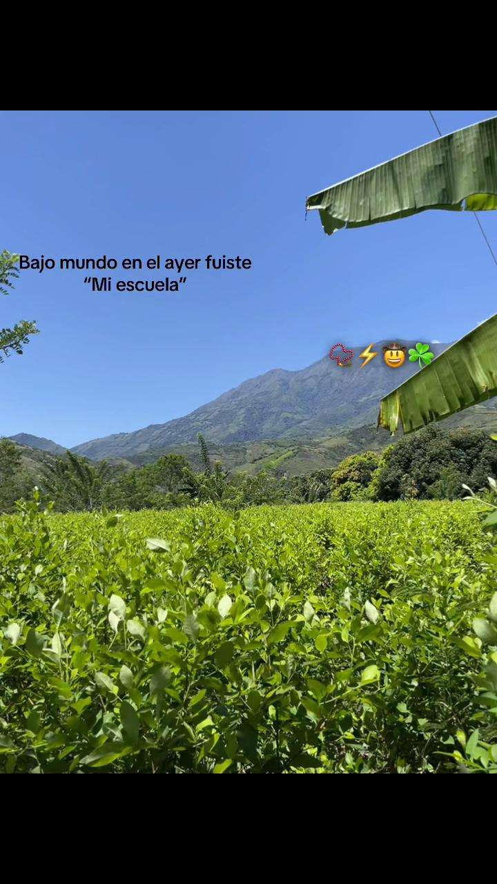 @彡[ʀᴏʟɪᴛᴀꜱ  ツ࿐