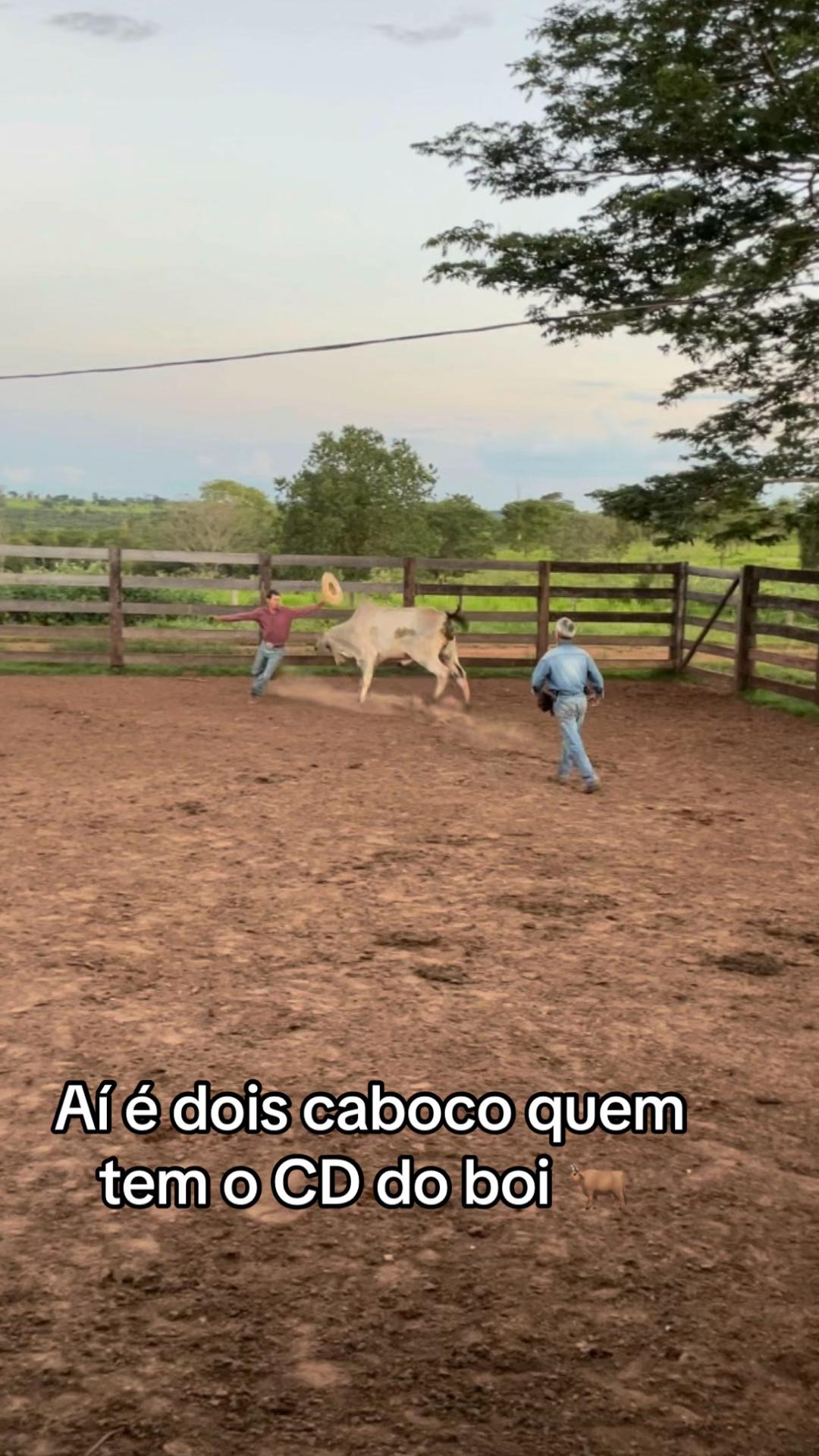 @pamela dias