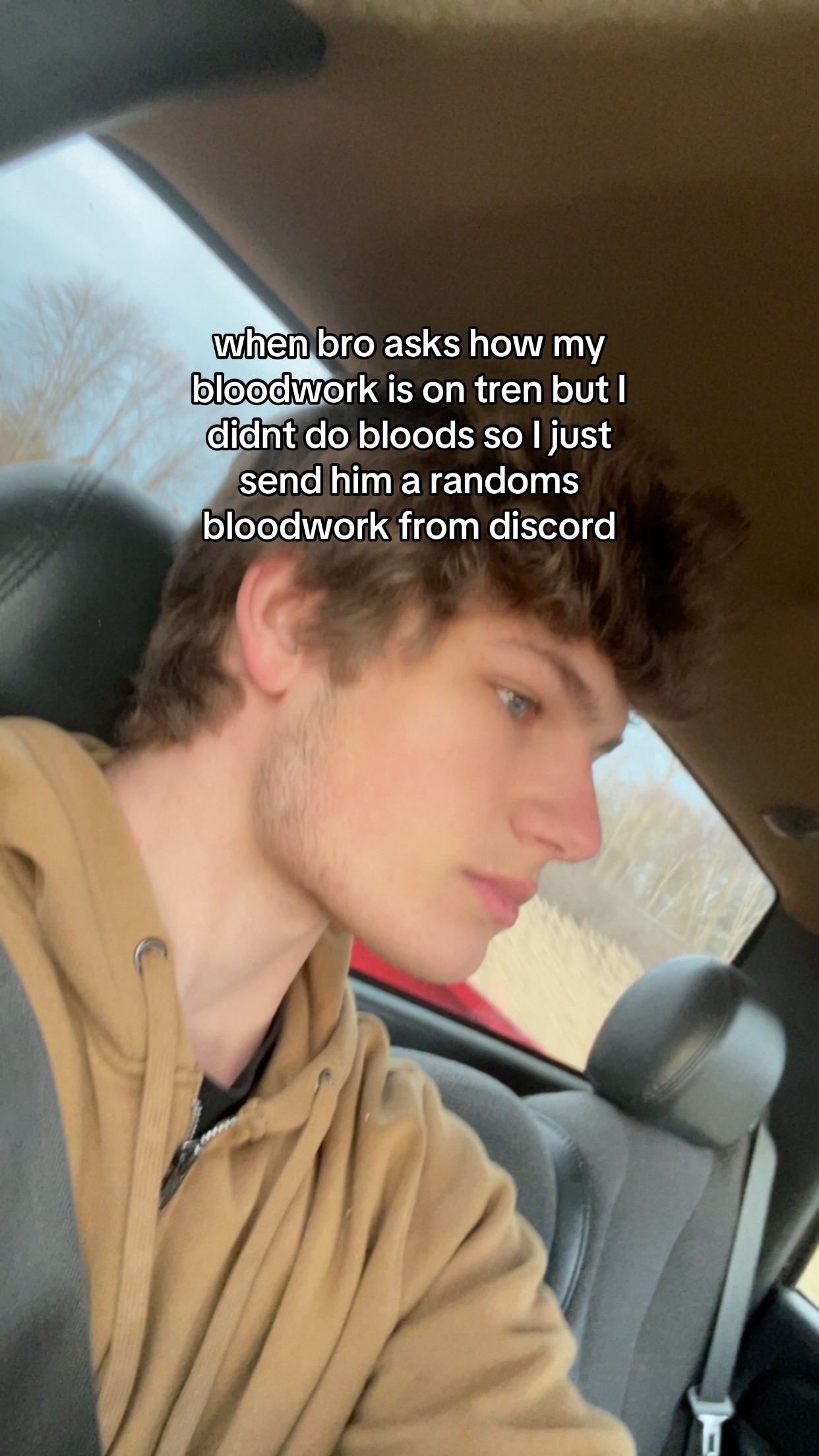 @halo