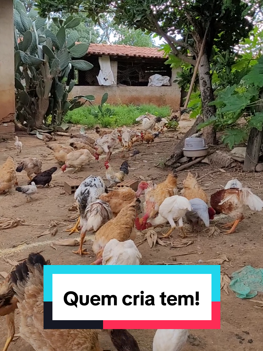 @Jardel Ferreira