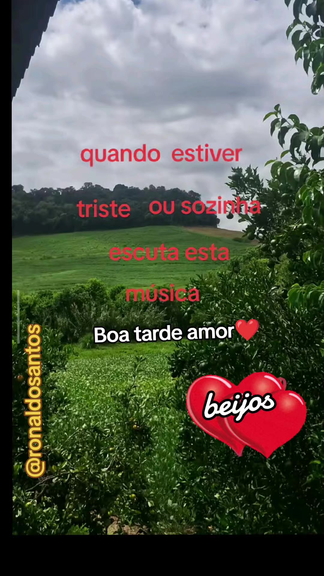 @ronaldosantos