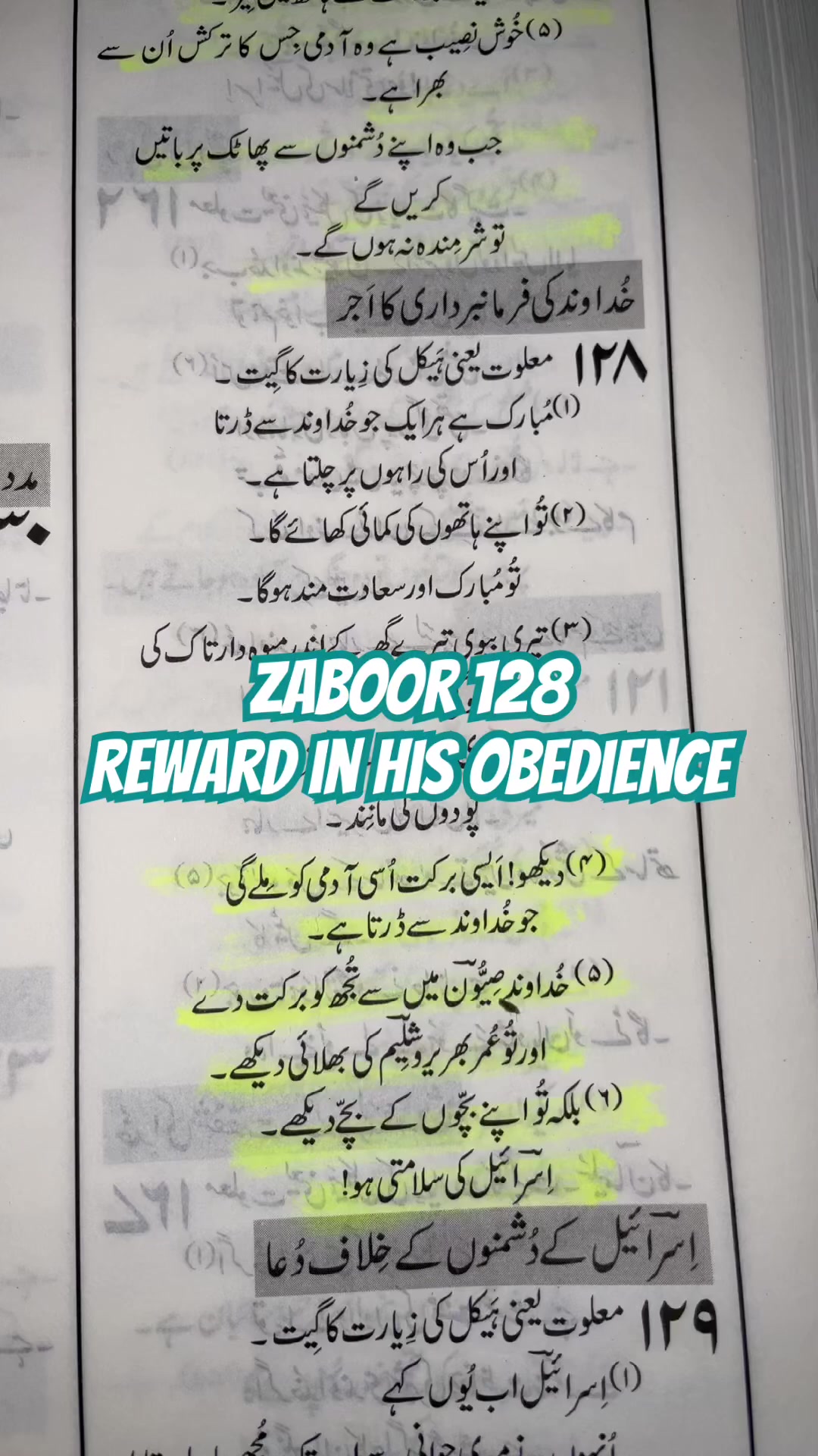 @Tehmina Sattar