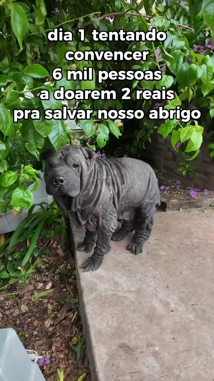 @ABRIGO DA V&Oacute;