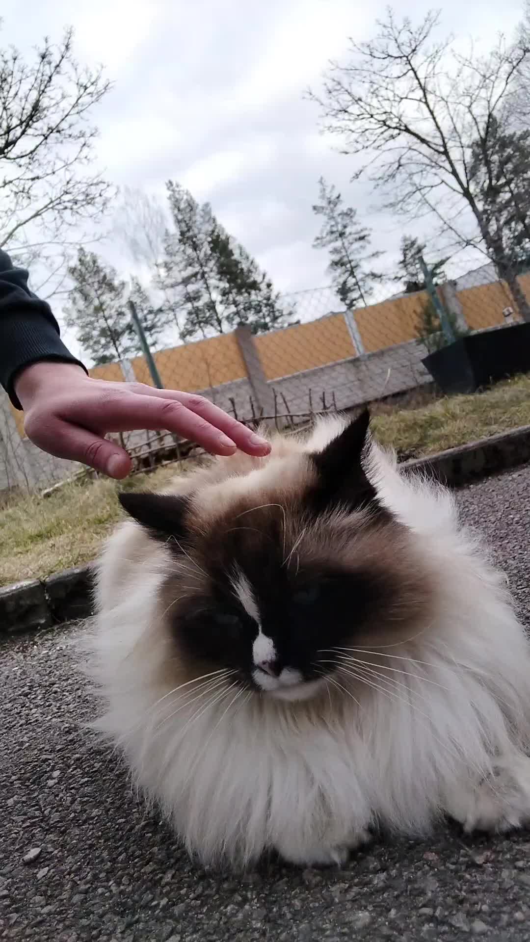 @swedishdiamonds