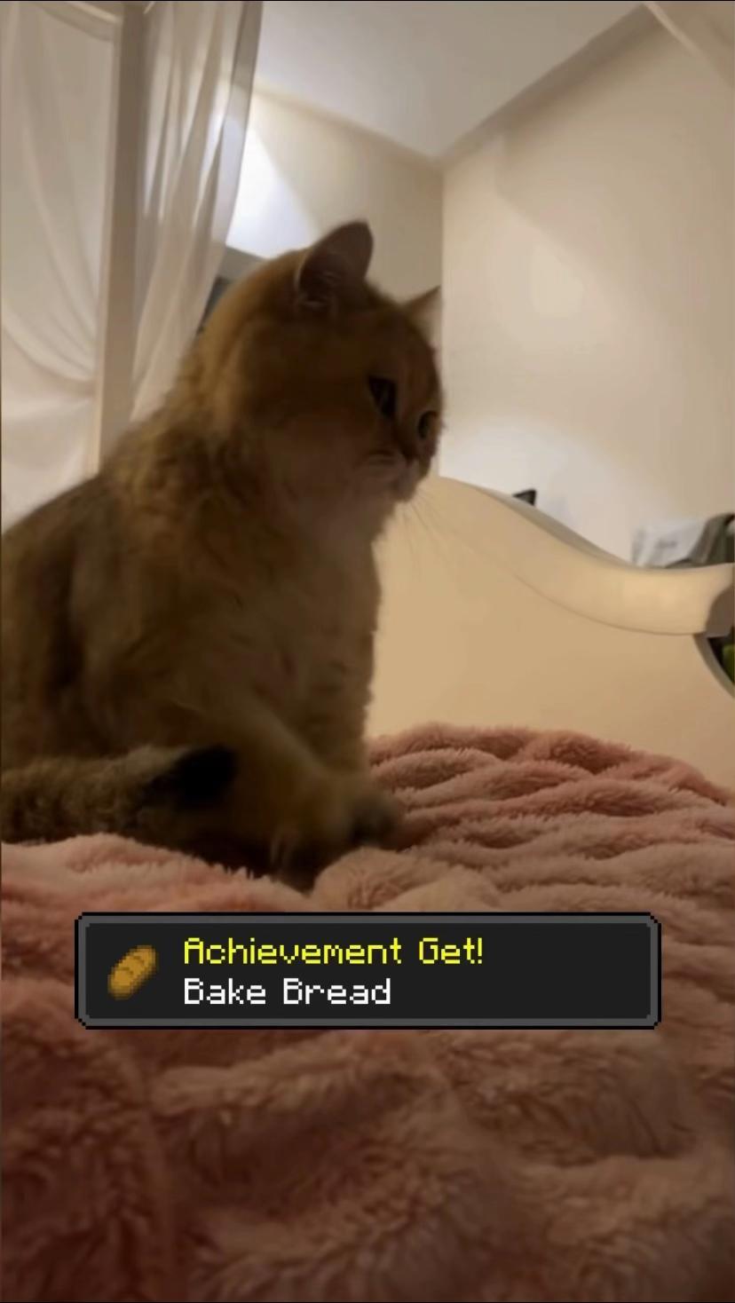 @Leo