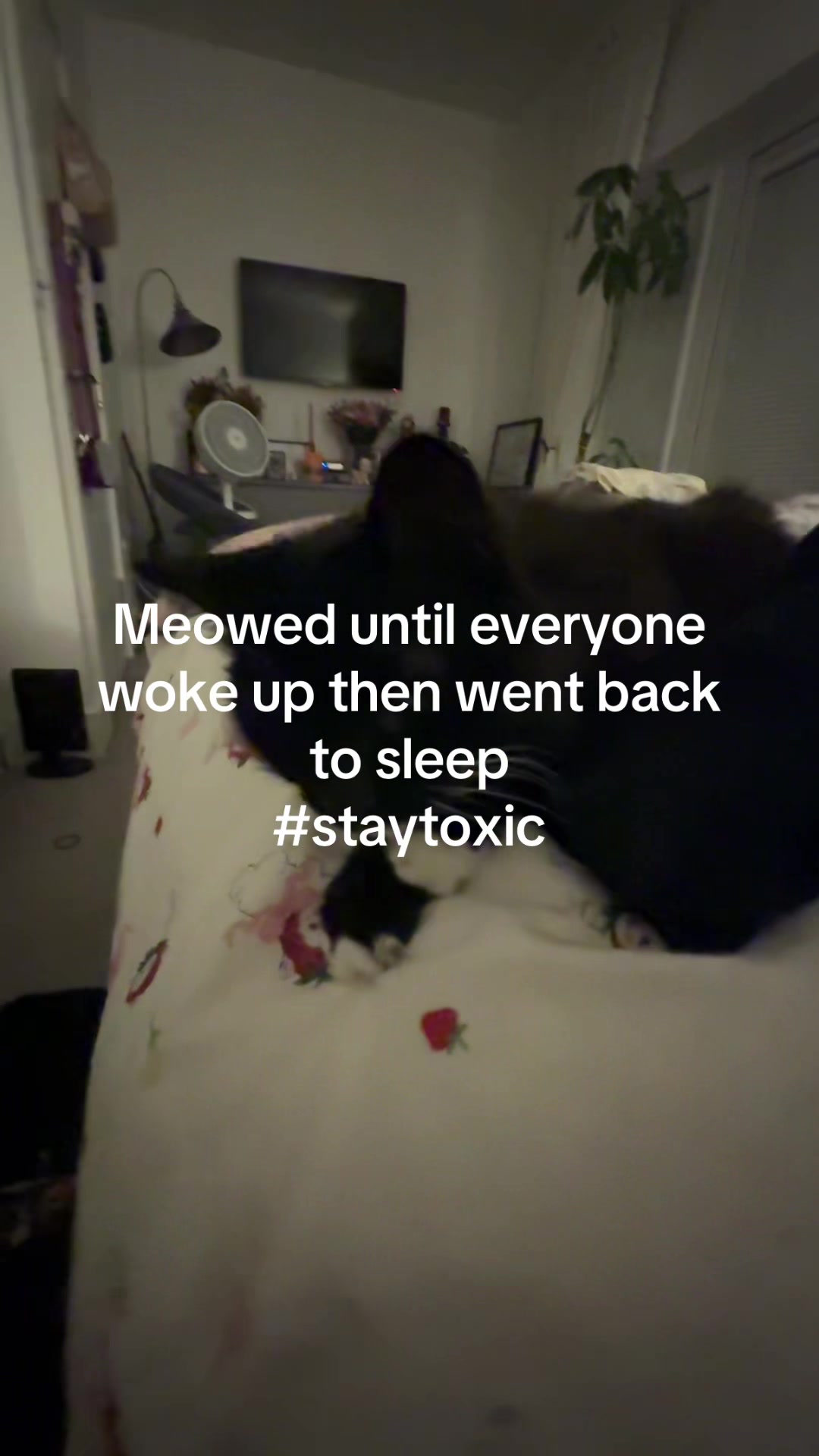 @howitfeeelstobelost