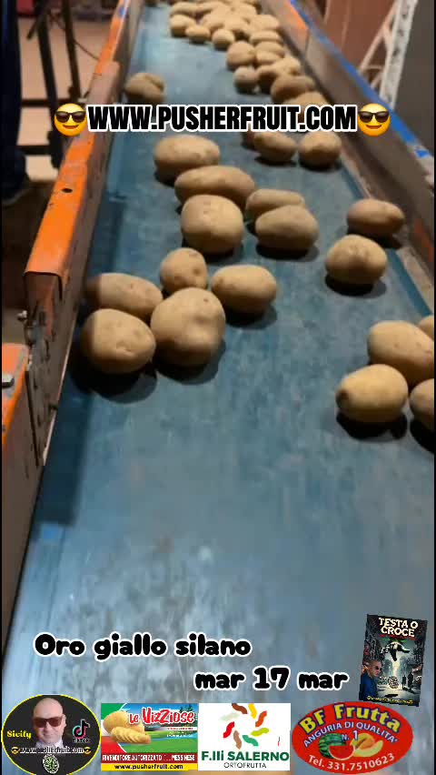 @😎wwwpusherfruit.com😎