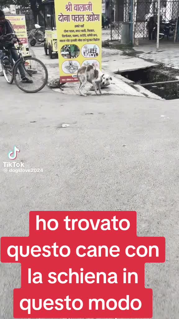 @Francesco Fotia