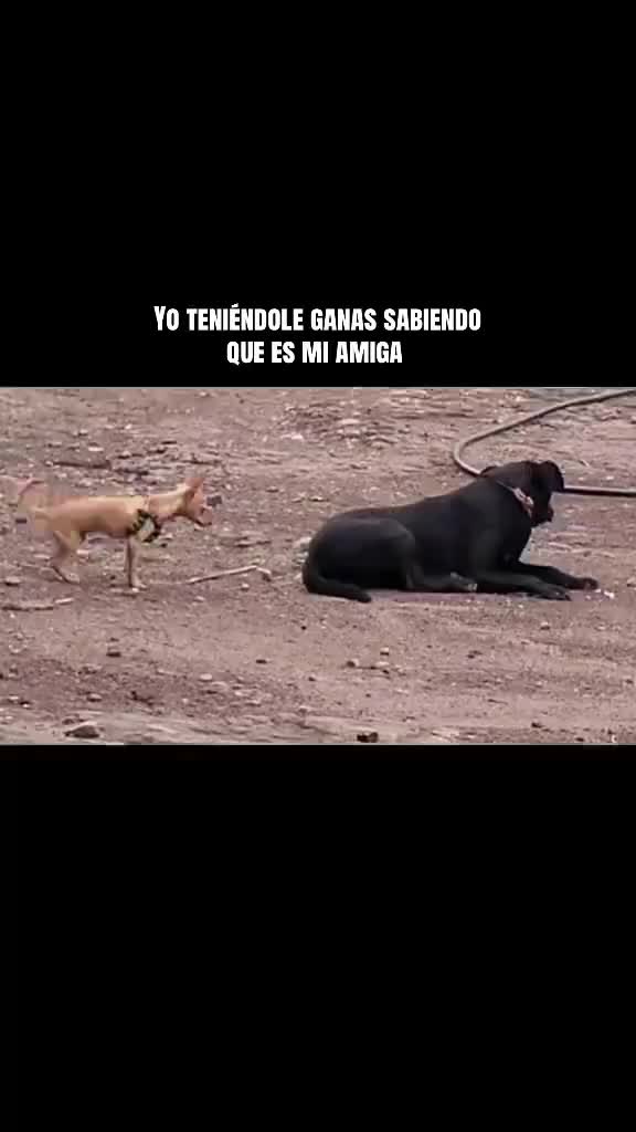 @Pillaquit Boy