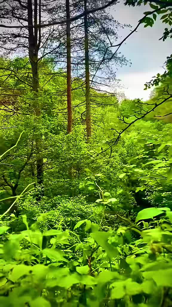 @Nature lover