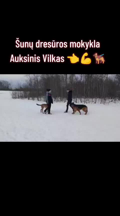 @Vidmantas Selvenis
