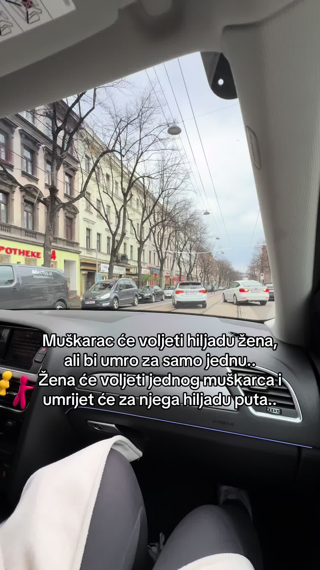 @shnvc_🦋