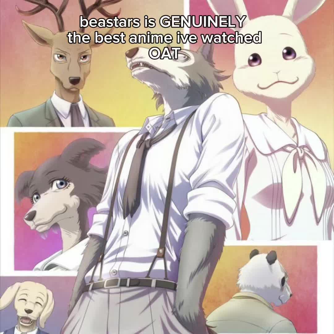 @|🐾 &bull; ( 🦴 レゴシ 🦴 ) &bull; 🐺|
