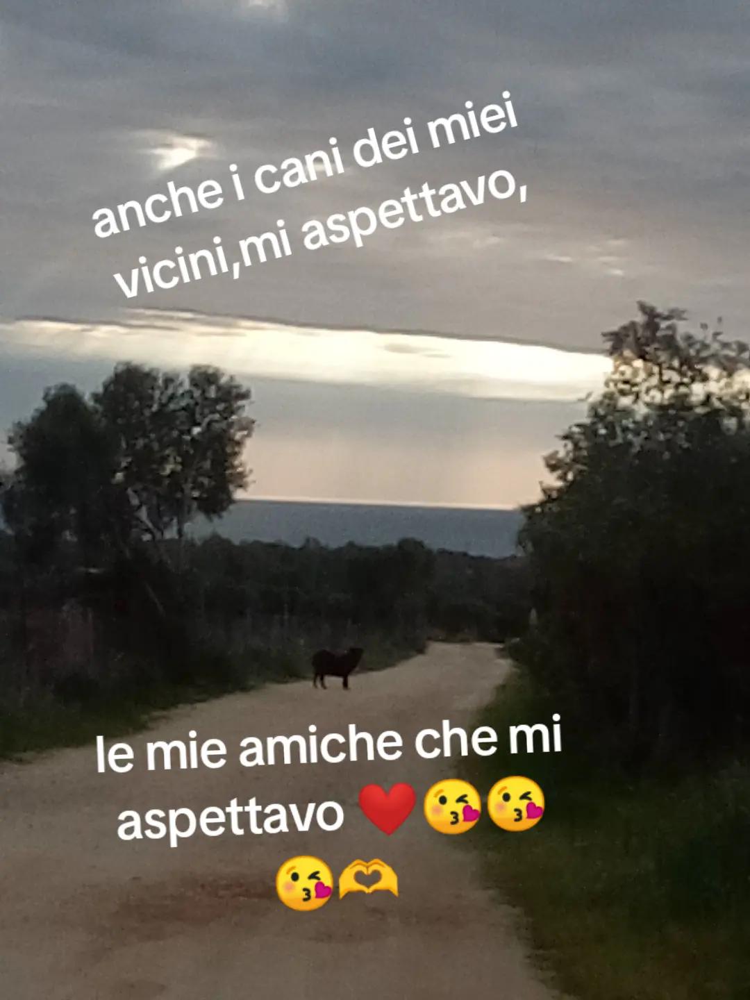 @Memmy Contu Annamaria Contu