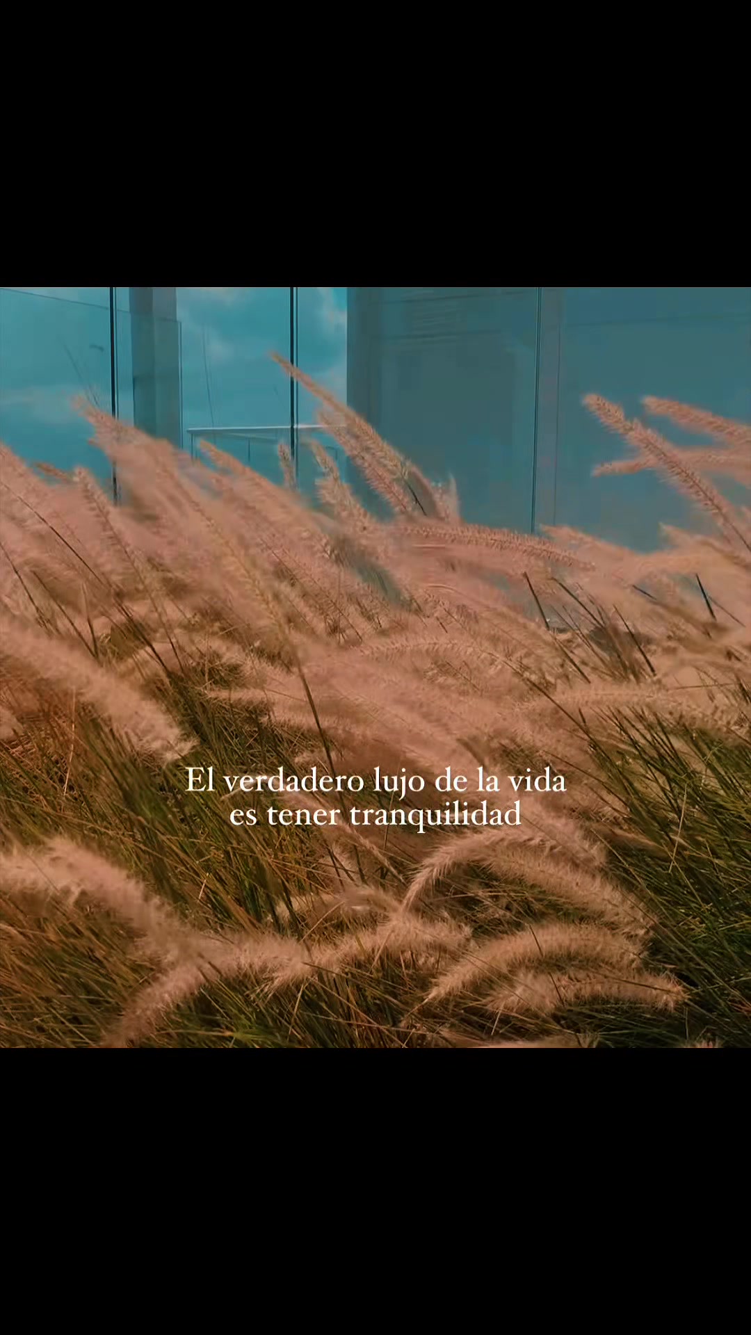 @Abdiel S&aacute;nchez
