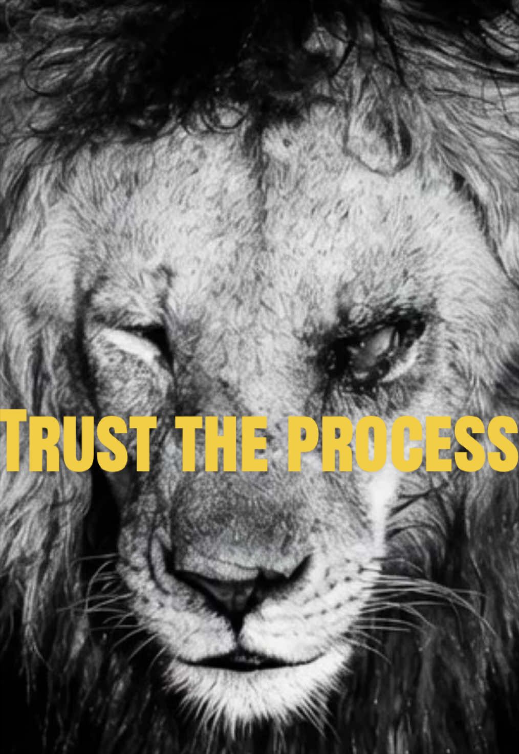 @Rise.and.dominate