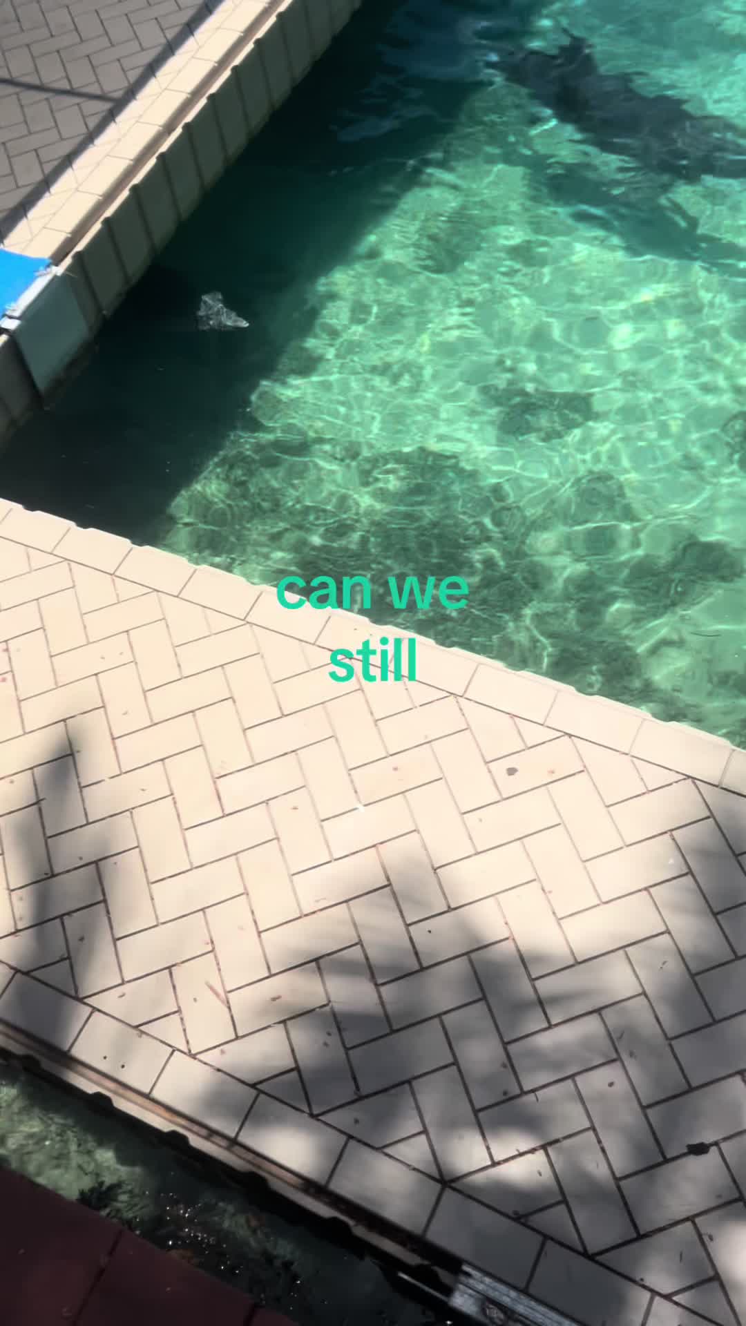 @adrii