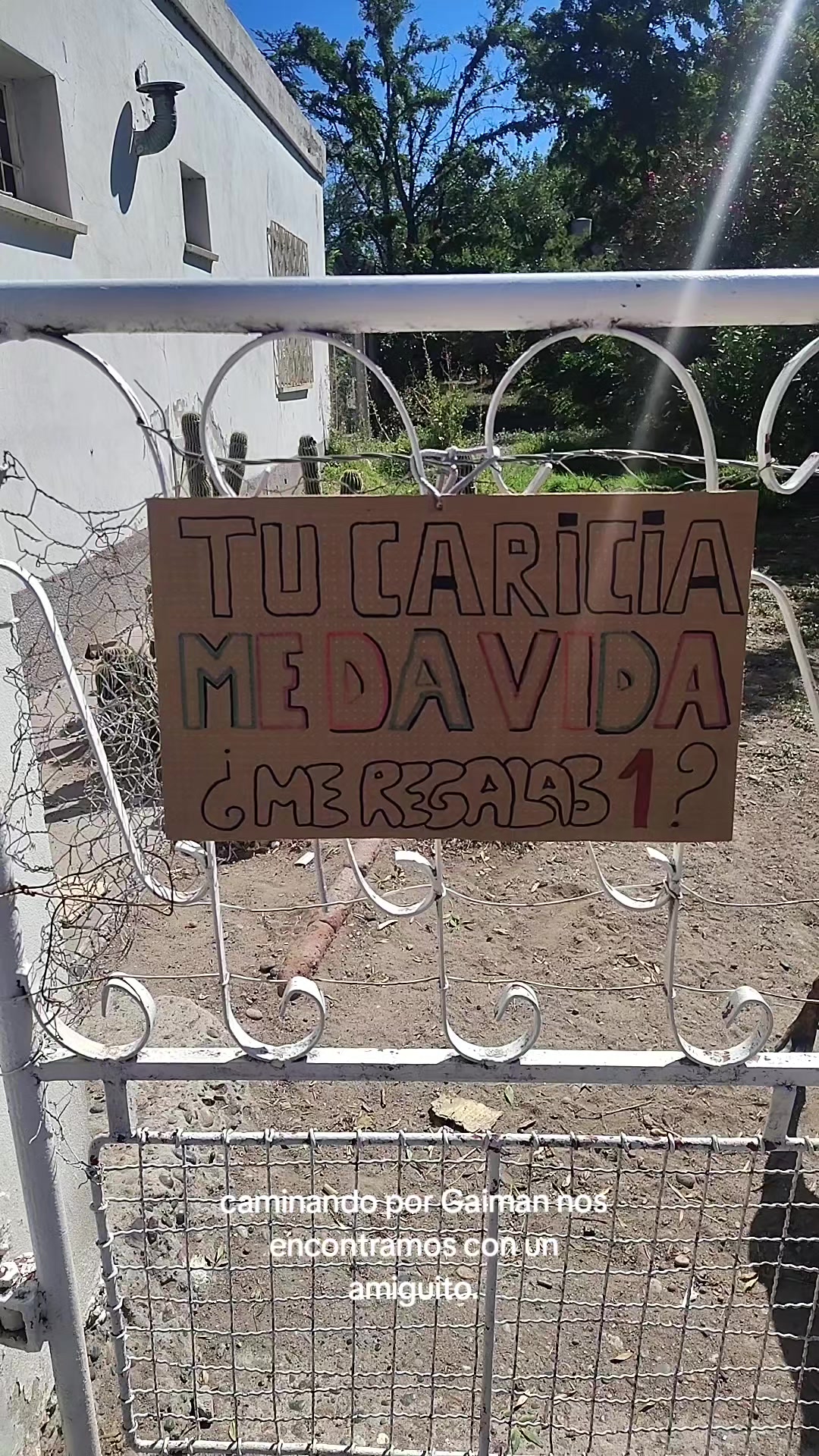 @miguelvivas739