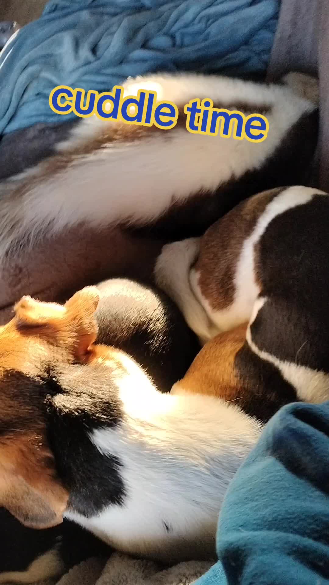 @Bestiesbeasties