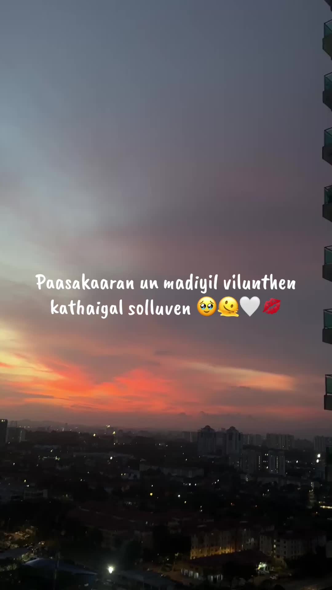 @> 333 🪬🤍🫀