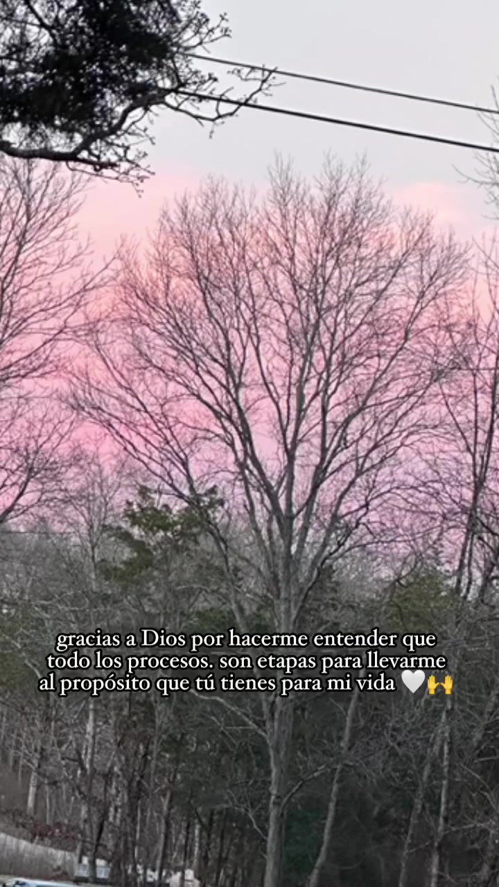 @Jesús mi proveedor