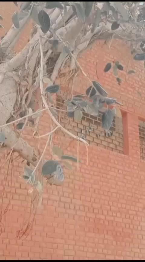 @🔥Panhwar 🔥sahab 👀