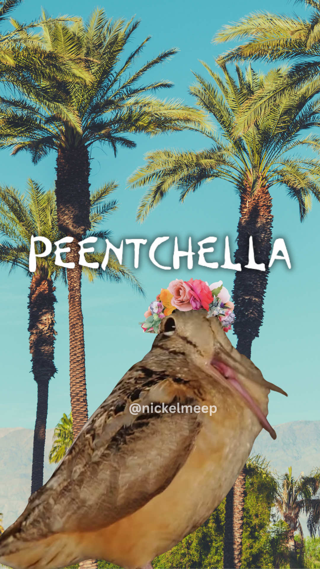 @nickelmeep